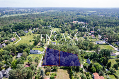 Plot Sale Zalesie Górne